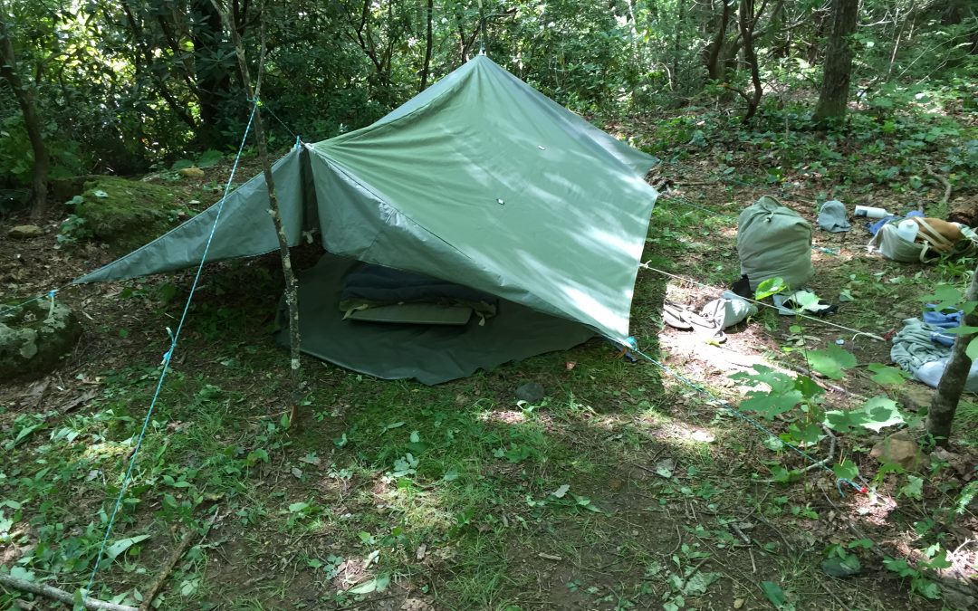How to Rewild Your Outdoor Sleeping