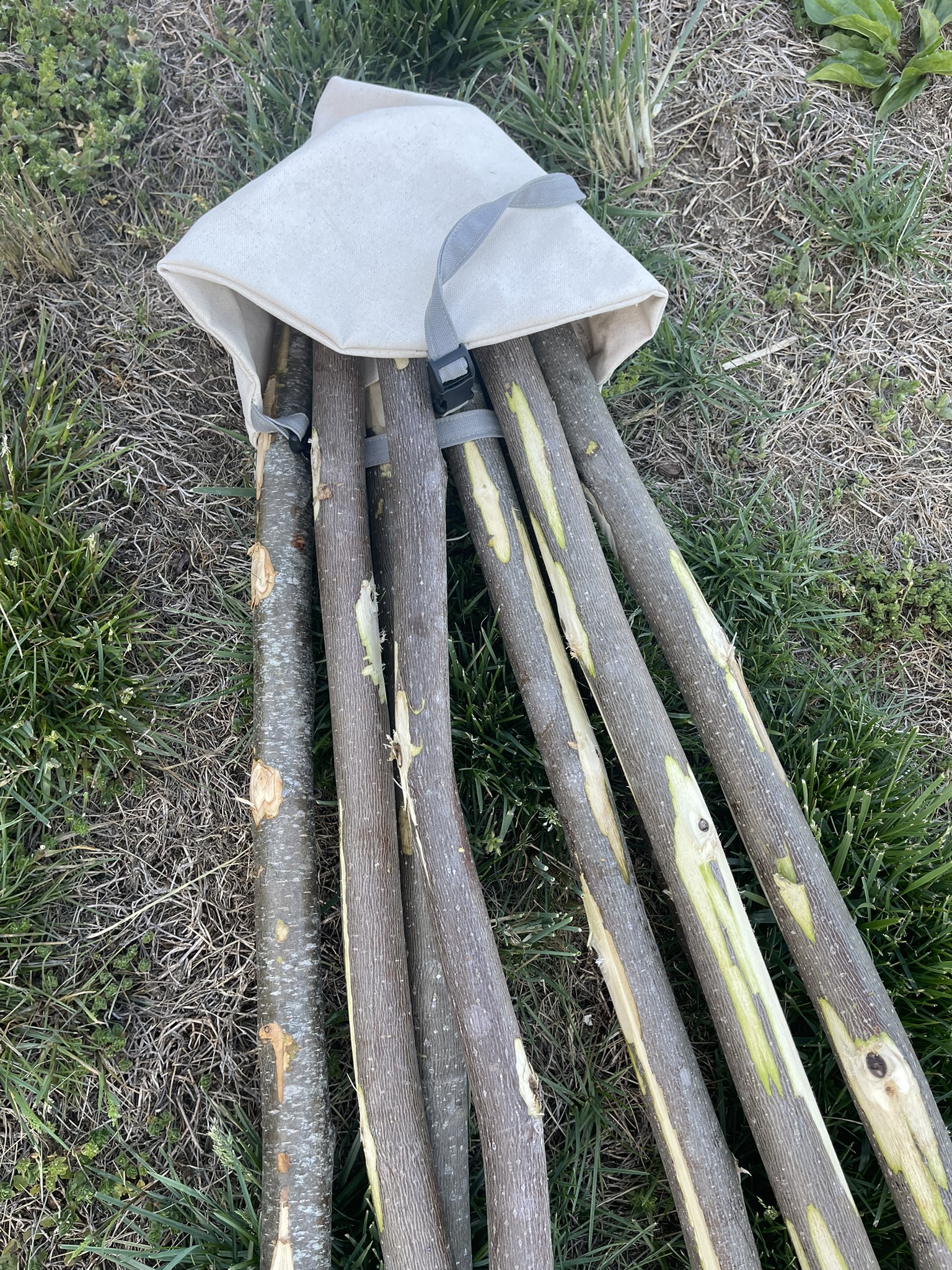 Organic Canvas Tent - Image 11