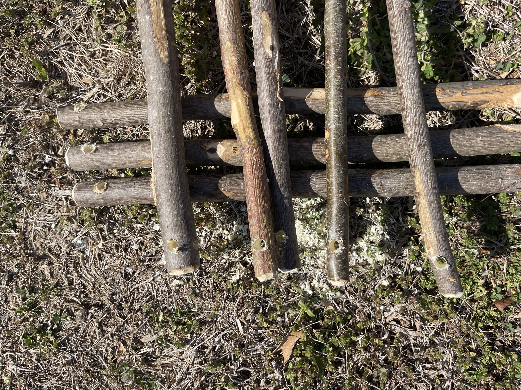 Organic Canvas Tent - Image 12