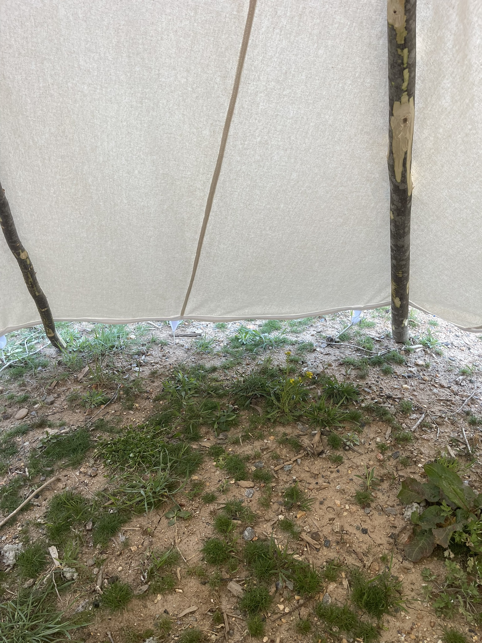 Organic Canvas Tent - Image 5