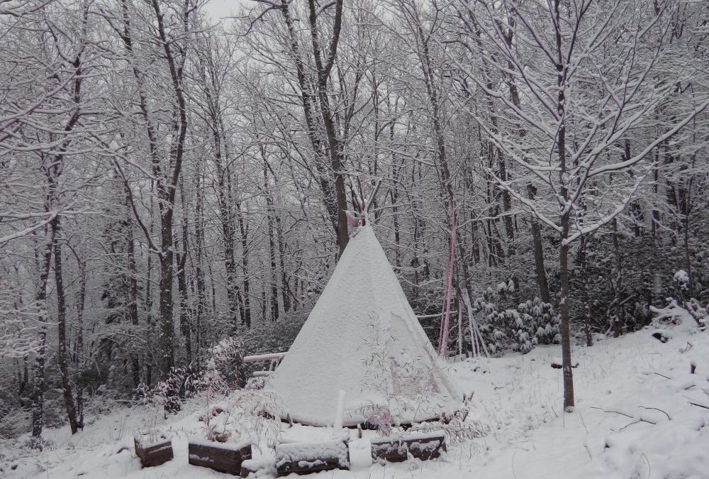 Adapting to the Cold: Two Secrets Revealed