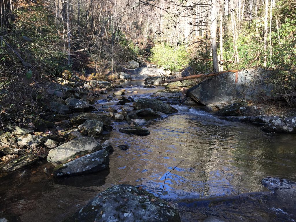 Mountain creek running over boulders through a leafless hardwood forest with rhododendron along the banks