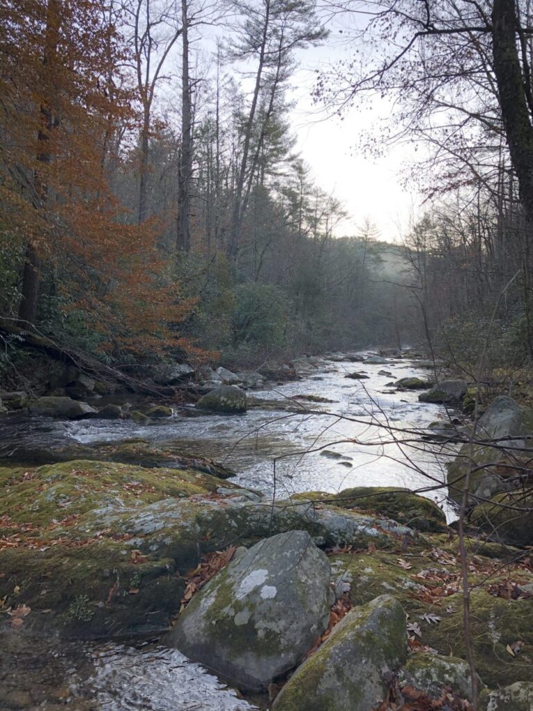 The Linville River running through the gorge under a grey sky, late-autumn leaves on the banks