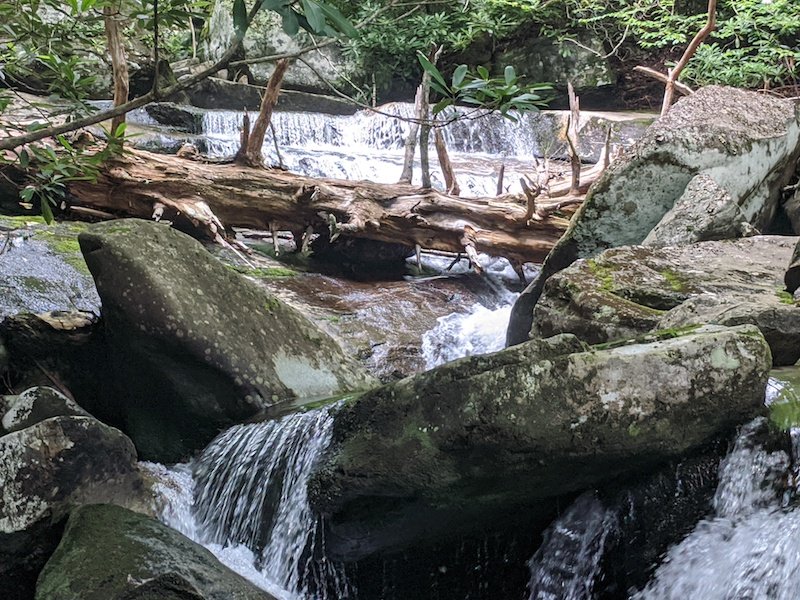 Thee Creek cascading over mossy boulders below a fallen log, Pisgah National Forest