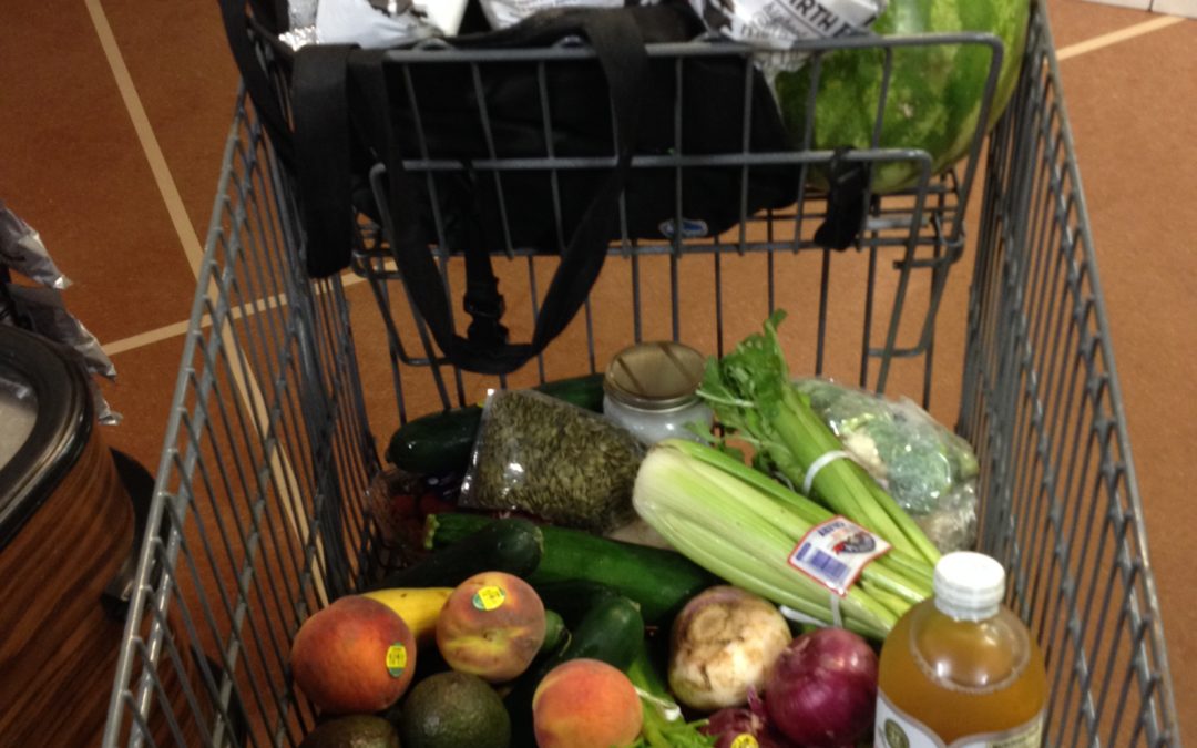 Paleo/ Primal Diet Shopping 101
