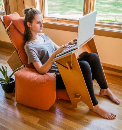 Eco Backrest