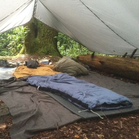 Wool sleeping bag on a pad and wool blankets under a canvas tarp, pitched beside a fallen log beneath big trees