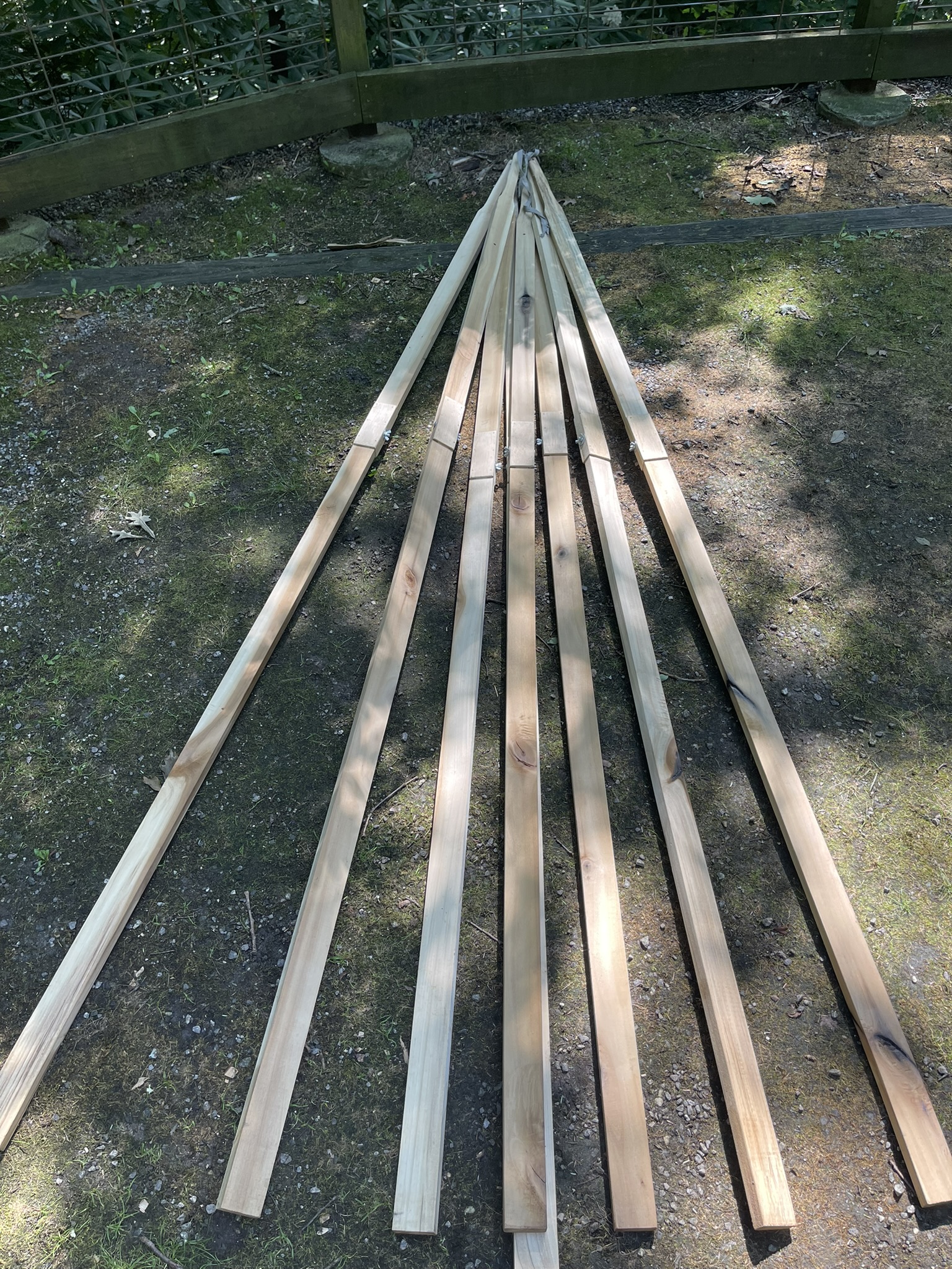 Organic Canvas Tent - Image 2