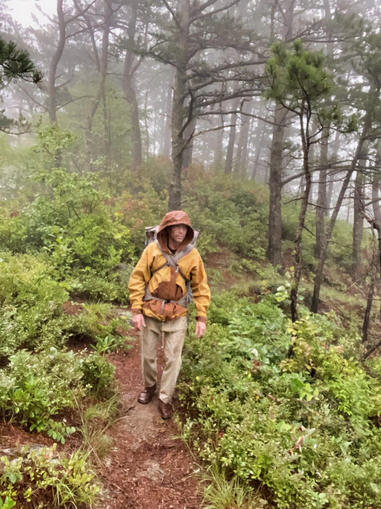 Hiker in a hooded ochre waxed canvas rain jacket walking a fog-covered ridge trail through wet pines and shrubs